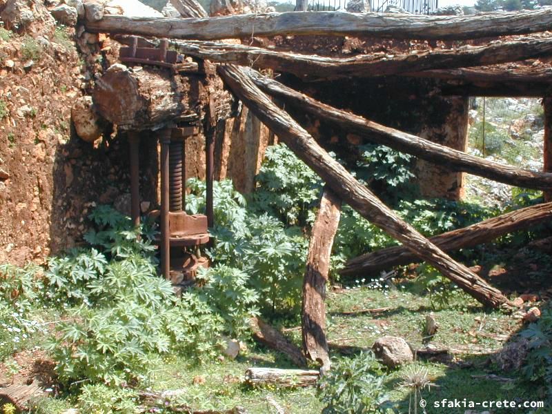 Photo report of a visit around Sfakia, Sougia and Loutro, southwest Crete, April 2007